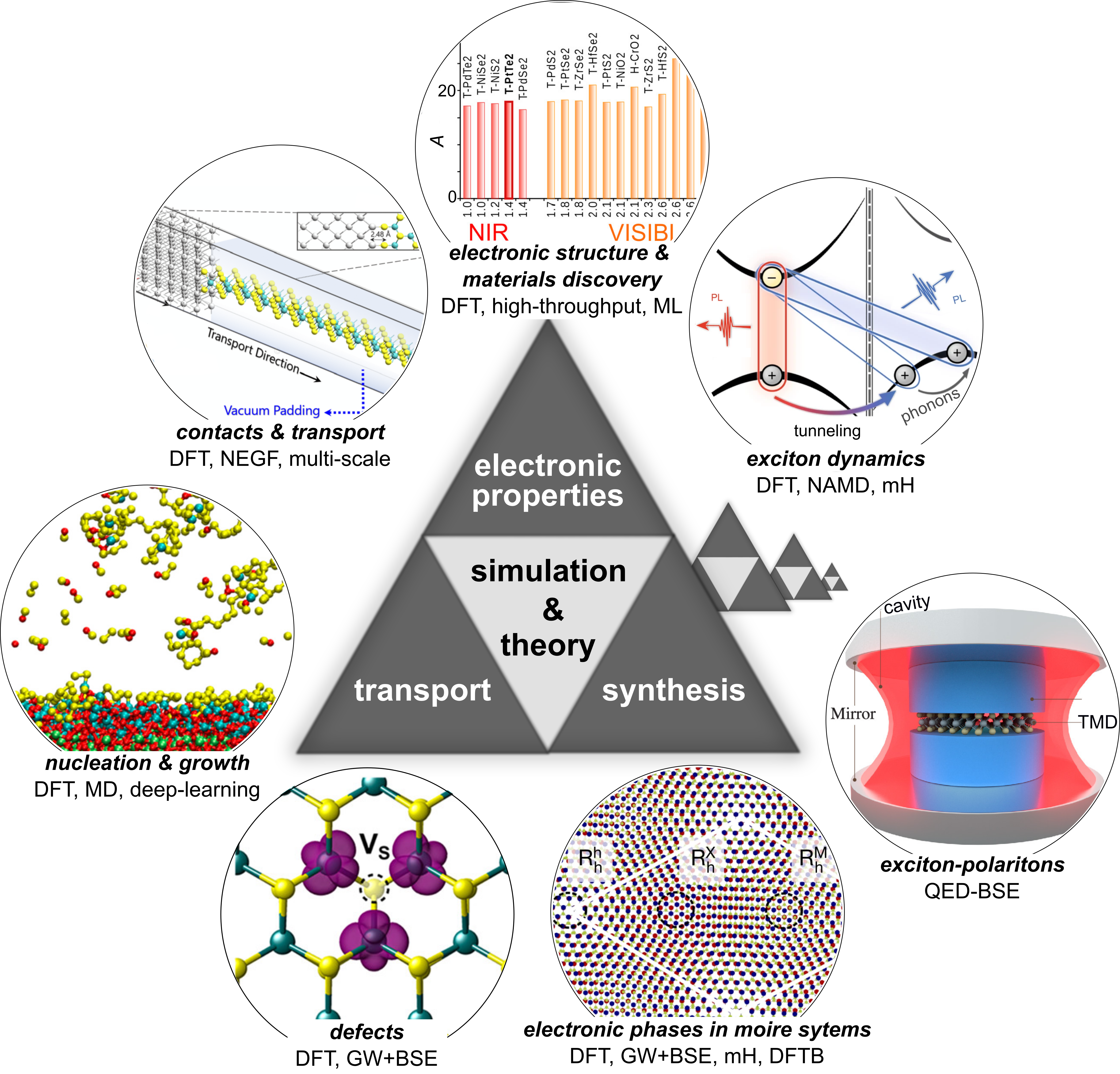 Representative figure for “Two-dimensional Transition Metal Dichalcogenides: A Theory and Simulation Perspective”